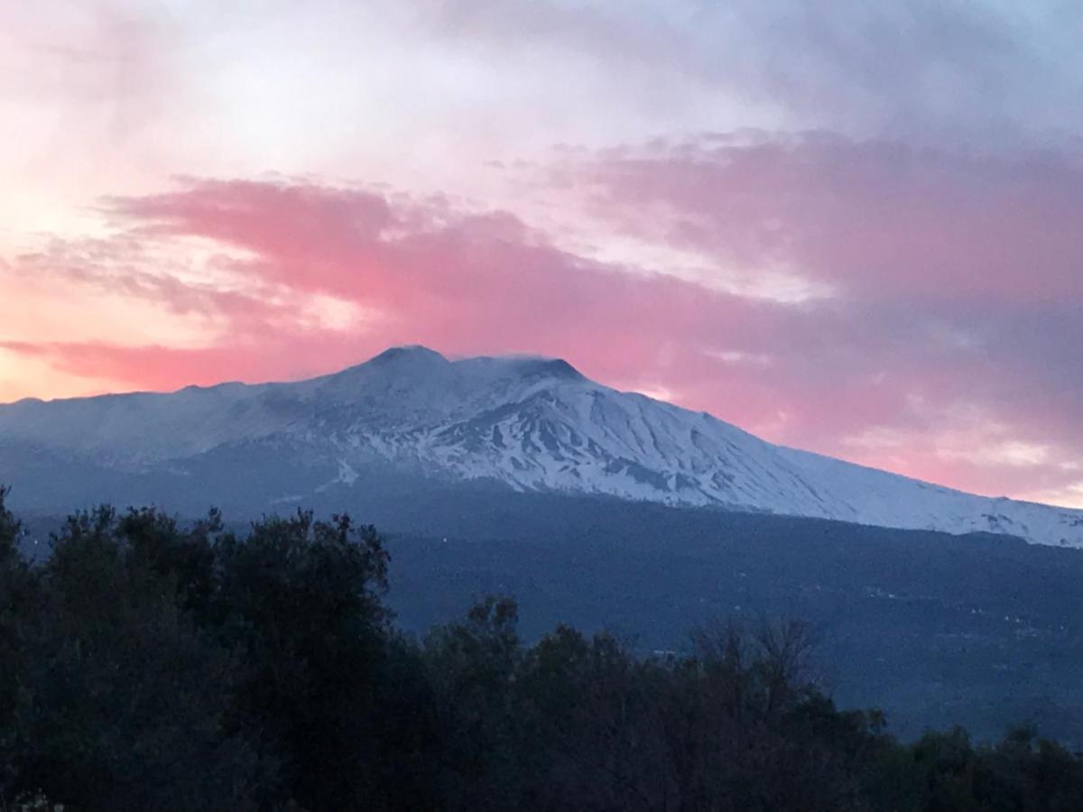 칼레타비아노 Agriturismo Serra San Biagio 빌라 외부 사진